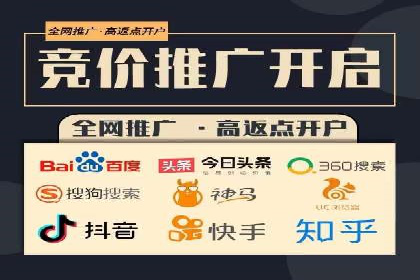 SEM投放策略优化案例分析
